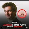 er.biso