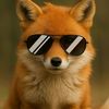 fox_un_zorro