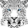queen_skinka
