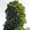 zau_2224
