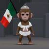 la_flaca_v9014
