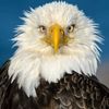 timbo_0450