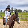 el.huaso.3.estrel