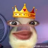 nics_coleletts