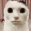 close_ur_windoww