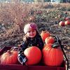 ella.wilson51