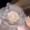 b0b3r12