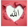 user7609039880033