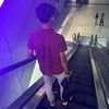 _alipp8