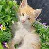 pro_krasav7