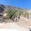 gashu1019