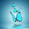 sharminsultana7748