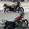 blackie_135cc