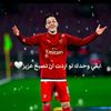 user3186785566900