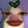 alysasafiahyaala