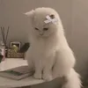 banhmararon_.520