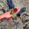 musayev346