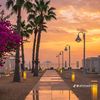 badr1459