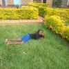 user2919652991447