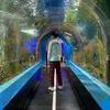 pvbc_chun_9810