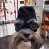 kubacqcwxd8
