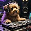 djpatricioamaya
