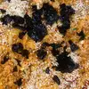 melloveskimchifriedrice