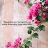 eesha958