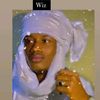 wizwiledndjari