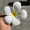 brnsrj_24