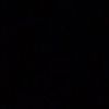 txs_.willi