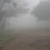 didiergamarra25