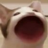 thepessi2