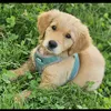 sylvia.nala