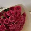 .nour3175
