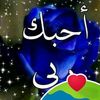 userldm51znxvs