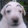 theeebers