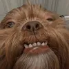 diggledog123