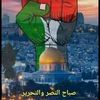 nousayma55