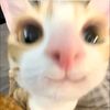 me_name_.is_.kira