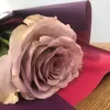 nasreen1248