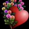 userw6mmxk7v65