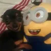 michelle.mvr