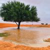 abdallah124567