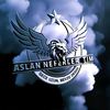 aslanneferlertimofficial