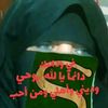 insaf.idir