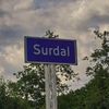 surdal2009