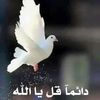user785565634855