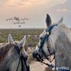 hajerahmed442