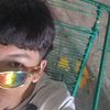 roddypzk23